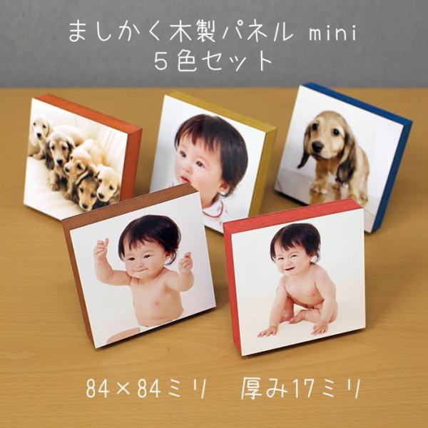 centts_sq-panel-mini5p