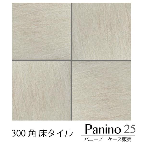ceracore-2_ift3030pn-25 ceracore-2_ift3030pn-25