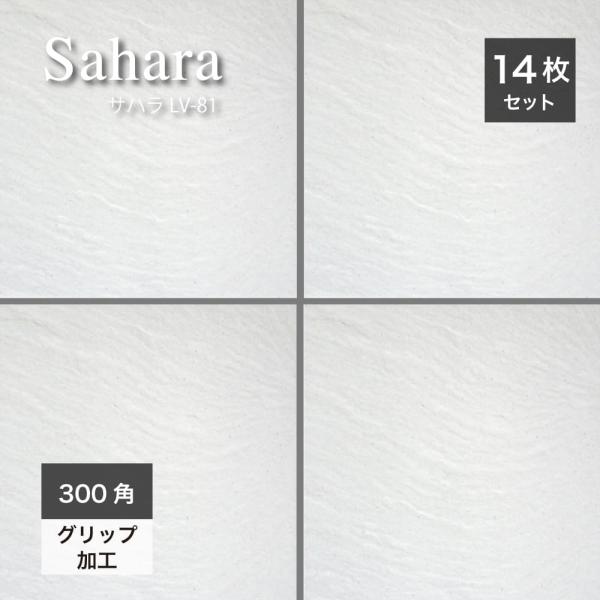 灰色と白の自然石 (大)※引き取り限定 ceracore-2_maft2929sh-81