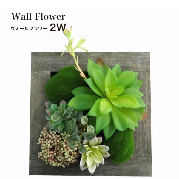 フェイクグリーン 多肉植物 造花 フレーム 壁 インテリア ウォールフラワーシリーズ 2w Af 2525wf 2w インテリアショップ セラコア 通販 Yahoo ショッピング
