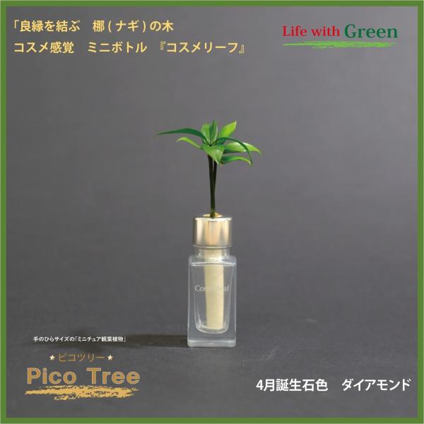 コスメ風ミニボトル 4月誕生石色 ダイアモンド と 土なし 清潔 水やり簡単 セラハイト ミニチュア観葉植物 ピコツリー ナギの木 Buyee Buyee Japanese Proxy Service Buy From Japan Bot Online