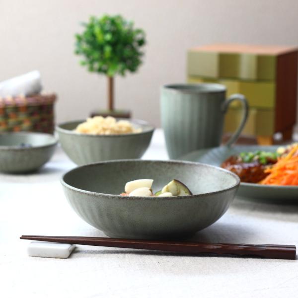 EkX 16cm { Z RK55 {E {[   t T_ Ⴊ ϕ z ܂ [  O[ H