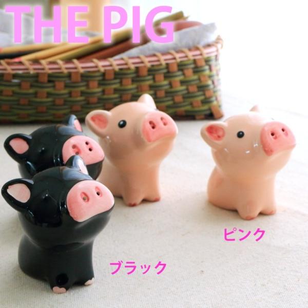 sOsbN ؂̕@牖RVE 2Zbg 傤 Ӟ Ӟ yAZbg 24e1   n[u 