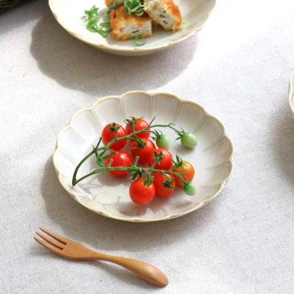 e^N[ M 16.5cm Y Z 5.0M 5M ێM M M v[g ݖM M 򖡎M ЕM P[LM N[