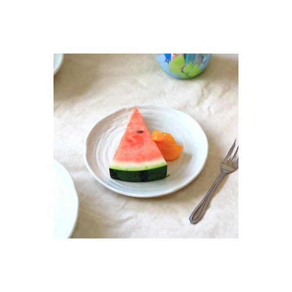 g˕ 16.5cmM Y Z ̓I֖fUC̘aHł͂Ȃ M ێM amH ãXC[c H