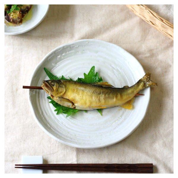 g˕ 21.5cmfBi[v[g Y Z ̓I֖fUC̘aHł͂Ȃ pX^M ێM amH