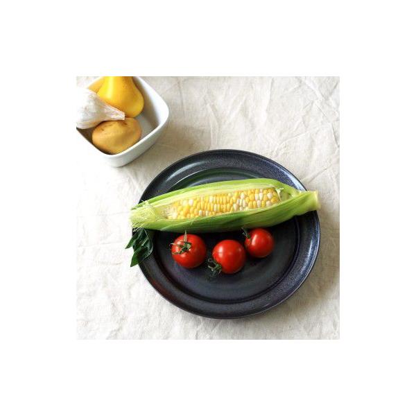 S ی^ 22cmfBi[v[g Y Z ߂鍕̊ pX^M ێM amH CfBbV H