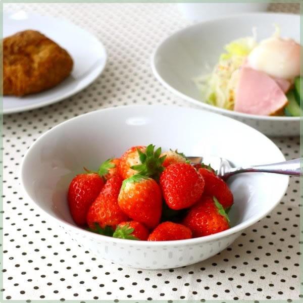 fC[zCg 16.5cmt[c{[ Y Z g₷͔Q {E Vv H ƖpΉ