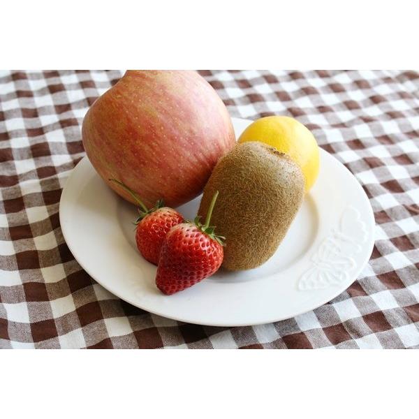 킢o^tC̒̂ۃv[g 20cm Y Z ₨qlłꂻ  P[LM ێM M Vv