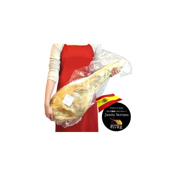 mn؂̂݁nXyCY nZ[m  12n 7kg(5kg-8kg)m①̂݁ny2`3cƓȓɏoׁzyz