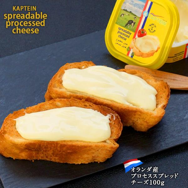 チーズ サラダチーズ 8mm角 1kg : 六甲バター | スモールビジネスのため