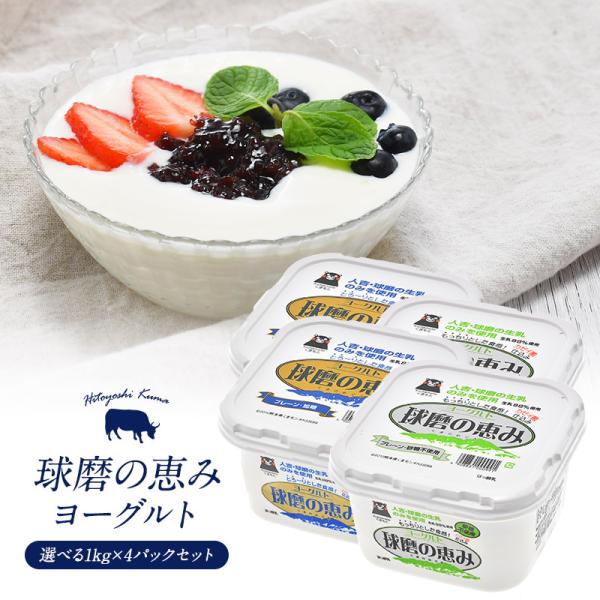 球磨の恵みヨーグルト 1kg×4パック　よりどり（加糖・砂糖不使用）【送料無料】［冷蔵］［予約販売：6月23日出荷開始］