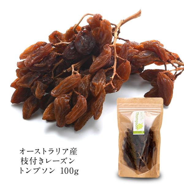 枝付きレーズン トンプソン 100g［常温/冷蔵も可］【3〜4営業日以内に出荷】