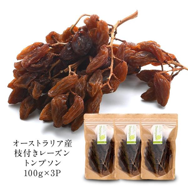 枝付きレーズン トンプソン 100g×3P［常温/冷蔵も可］【3〜4営業日以内に出荷】