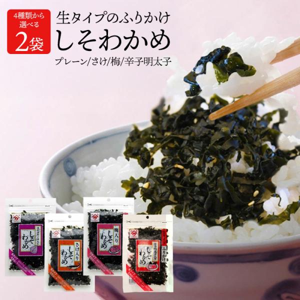 生タイプふりかけ/しそわかめ/プレーン/さけ/梅/辛子明太子/50g×2袋セット/選り取り/送料無料