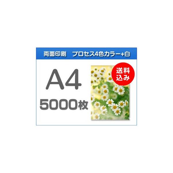 A4NAt@C@5000