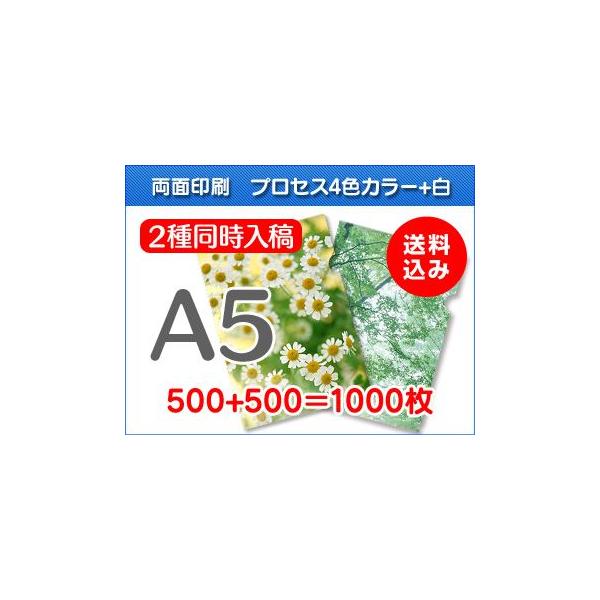 A5NAt@C@500+500=1000