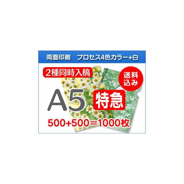 A5NAt@Cy}ցz500+500=1000