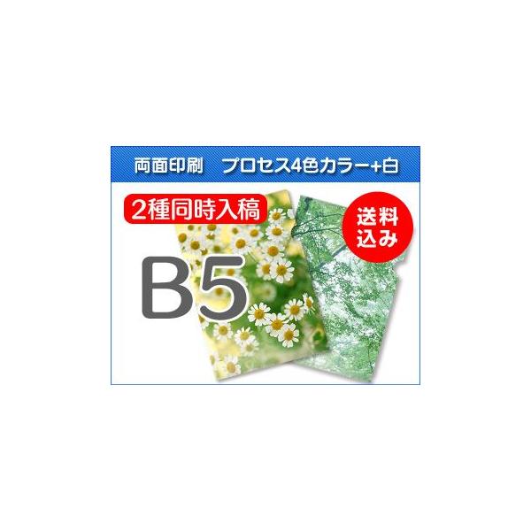 B5NAt@C 1000+1000=2000