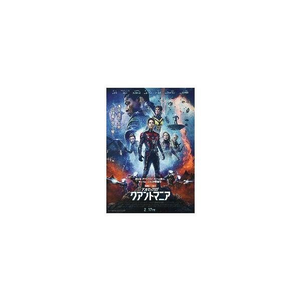 映画チラシ／ アントマン＆ワスプ クアントマニア B キャラ多数