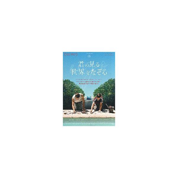 映画チラシ／ 君の見る世界をなぞる （Rカンピヨ監督）