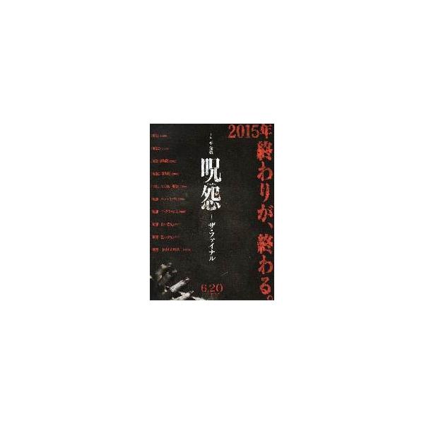 映画チラシ／呪怨-ザ・ファイナル- （平愛梨） Ａ 顔なし