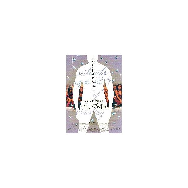 映画チラシ／ セレブの種 （Sリー監督） A 定型