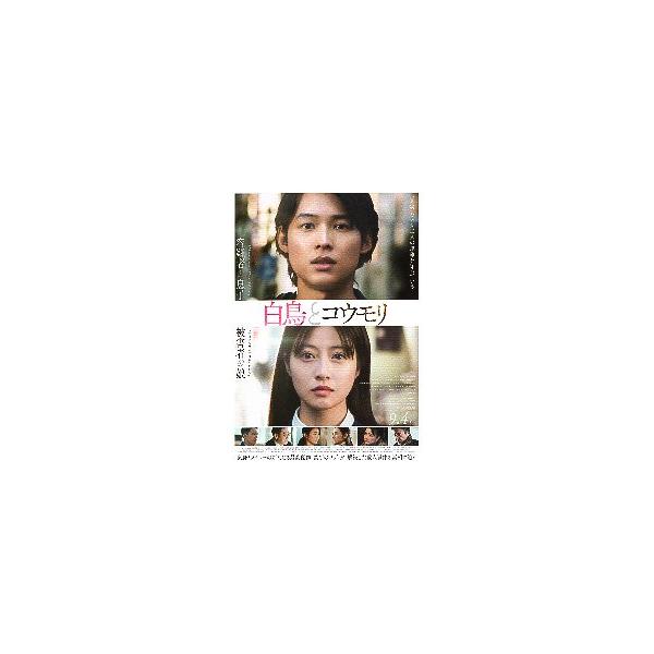 映画チラシ／ 白鳥とコウモリ （今田美桜、松村北斗）