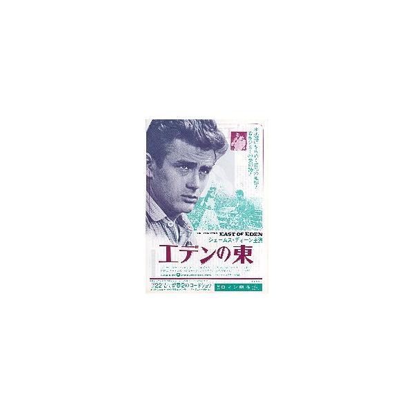 映画チラシ／エデンの東 -73R- 白地3色、左上に顔 【値下げ】