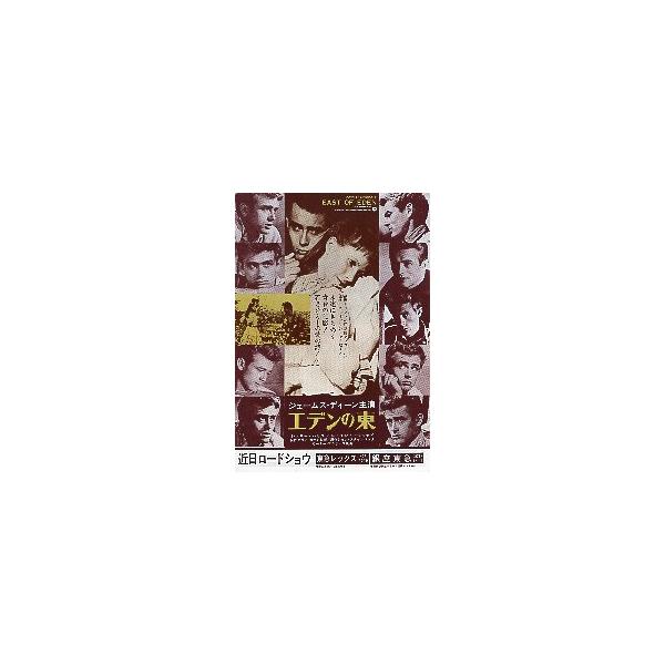 映画チラシ／エデンの東 -77R- セピア調/顔多数 【値下げ】