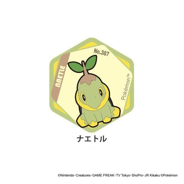 アイアップ ポケットモンスター ハニカムアクリルマグネット vol.7 ナエトル