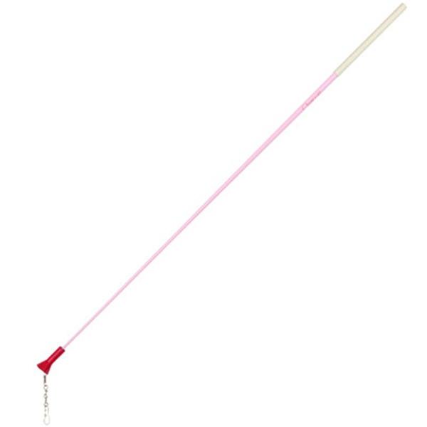 y`Rbg (chacott)z`ChXeBbN