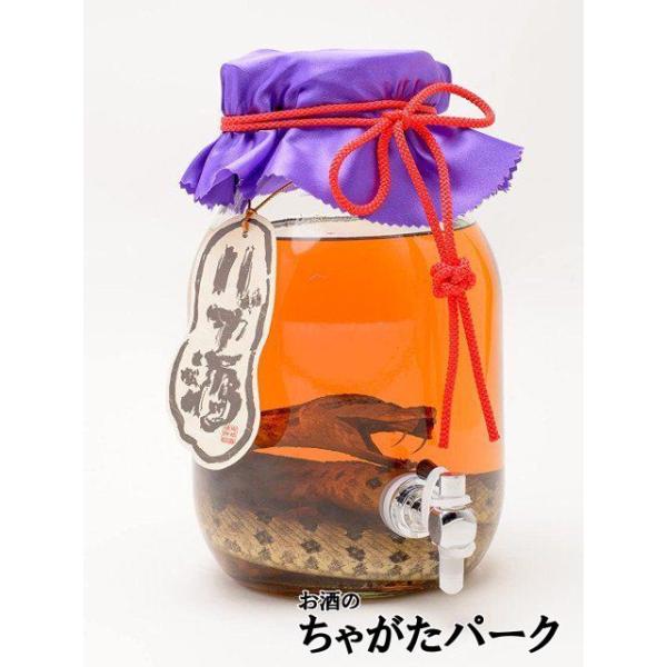 chagatapark_158811498