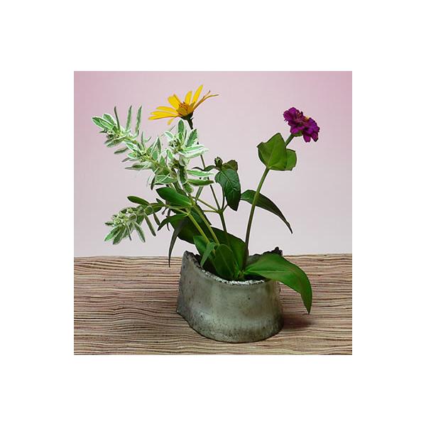 튊Ď葢ԂÂ݉ԊEԕriOEj