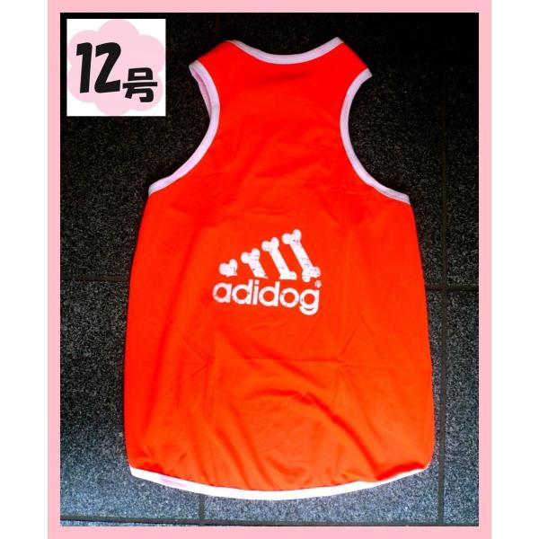 ( lR|X)12adidog bV^NiuIWj@(@hbOEFA TVc)