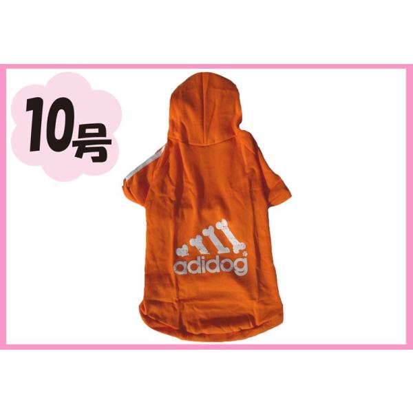 ( lR|X)10t[Xp[J[ adidog2{C iIWj(@hbOEFA)