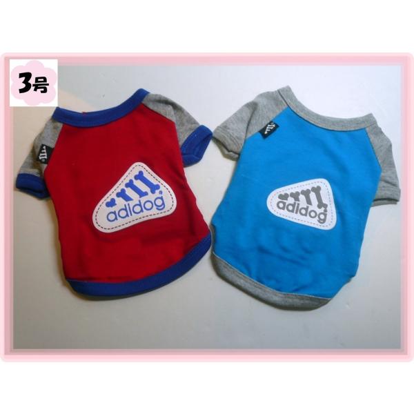 i  lR|Xցjadidogg[i[sgCAOt3i@hbOEFA g[i[j