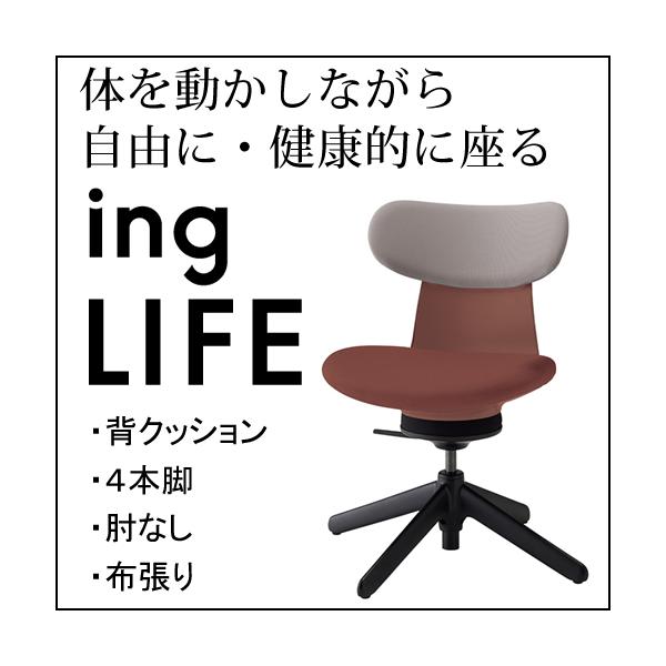 RN COCt ingLIFE  4{r IȂ ubNr z w ~fBAO[W E{ ubNbh C05-B10CCL-AJAJMA1