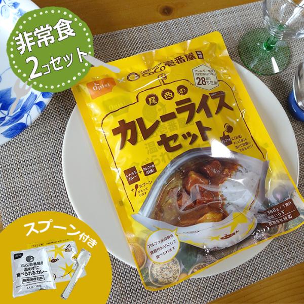 非常食 防災食 備蓄食料 保存食 2食分 災害用食料 防災 尾西 ココイチ 5年保存 詰め替え用 備蓄用 災害対策 地震対策 アルファ米 カレーライス
