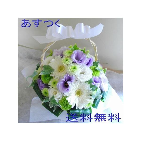 AWg    @  49@v  ފ  r[ő