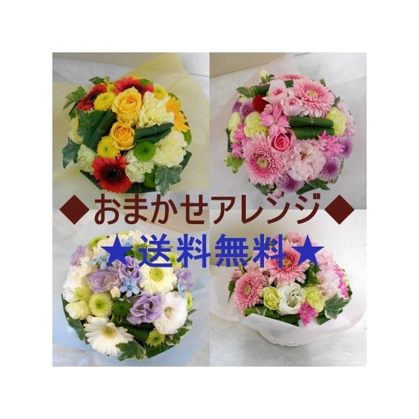 a  j  AWg t[Mtg LO   G߂̂܂t[Mtg r[ő