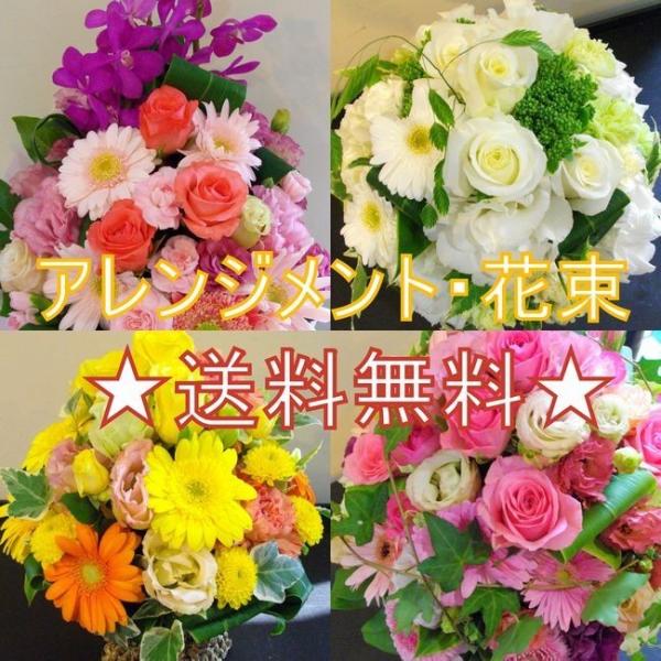 a  j  AWg t[Mtg LO   O G߂̂܂t[Mtg r[ő