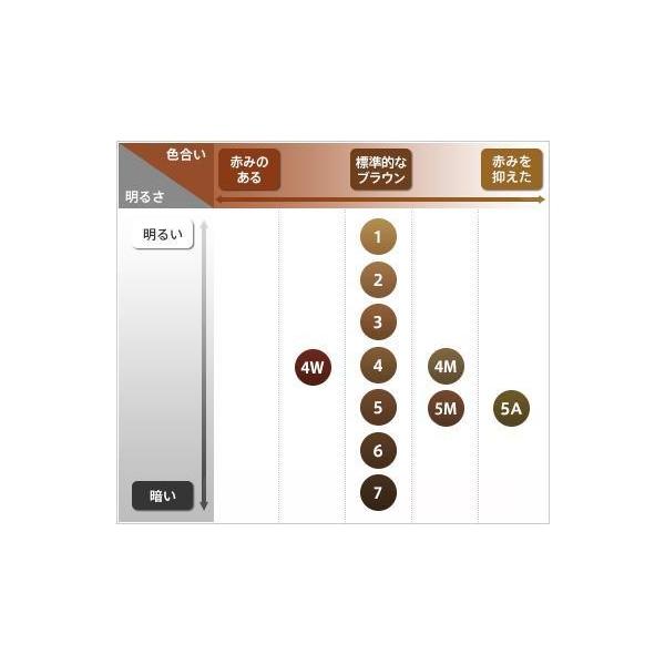 サロンドプロ ザ クリームヘアカラー5m ダークマロンブラウン 白髪用 医薬部外品 Buyee Buyee Japanese Proxy Service Buy From Japan Bot Online