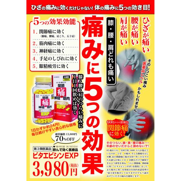 コンドロイチンzs錠 450錠 リョウシンjv錠を服用の方にもぜひ 関節痛 神経痛 腰痛 ビタエビシンexp 480錠 第3類医薬品 代購幫