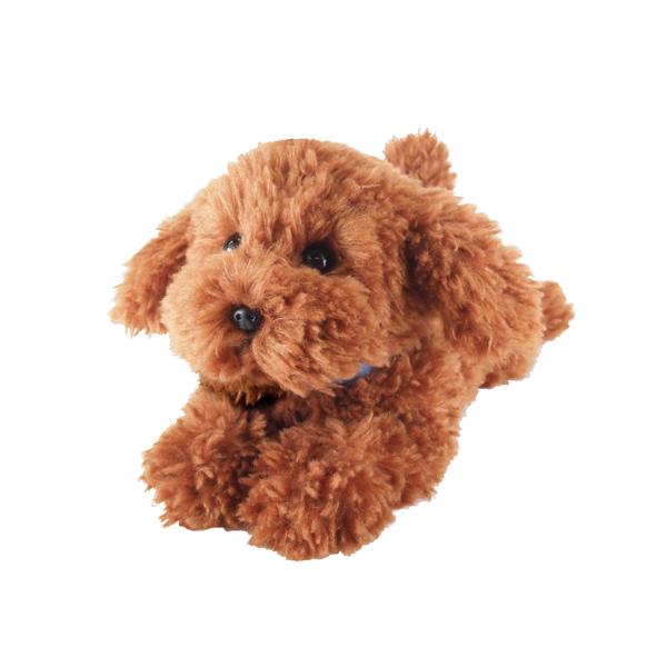 他サイト： 【新品】ひざわんこ トイプードルＢＲ Ｓサイズ【送料別。宅配便】の商品画像