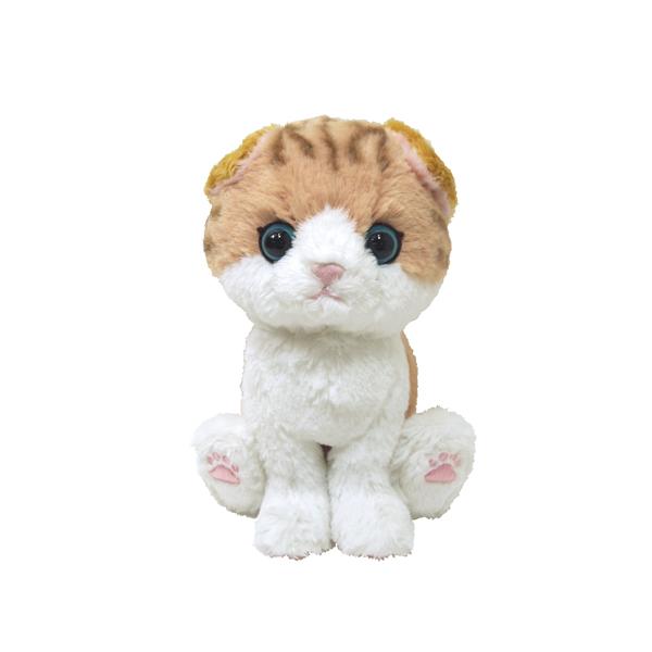 他サイト： 【新品】キトン　スコティッシュフォールドBR　Sサイズ【送料別。宅配便】の商品画像