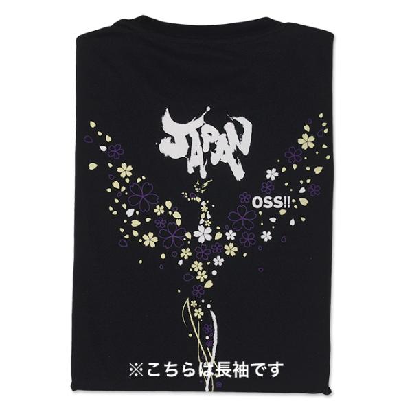 champonline_t-25o10b