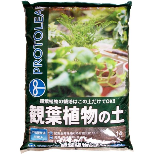観葉植物の土