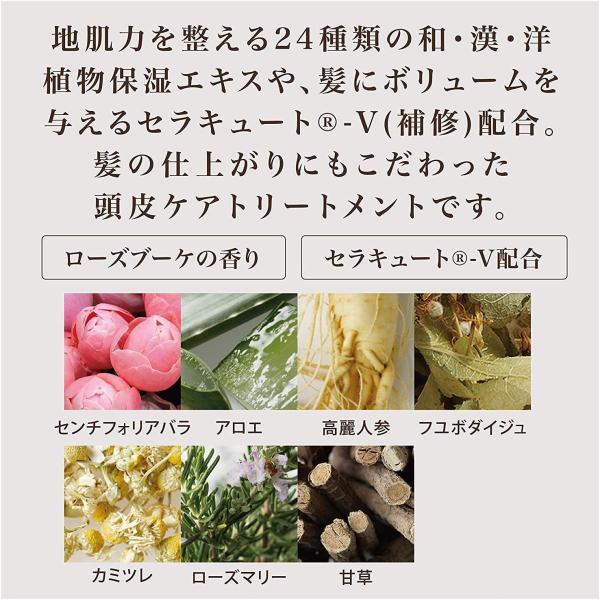 オブ コスメティックス 薬用トリートメントオブヘア 2 Roスキャルプ 髪にハリ コシが欲しい方 ビッグボトル 515g ローズブーケの Www Nouvelle Etoile Org