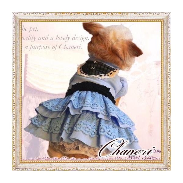  /[]Z[/Chaneri *VF[[X̃s[X@u[×[X/IWii